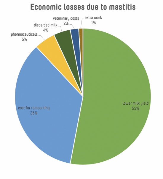 Diagram showing the economic losses due to mastitis