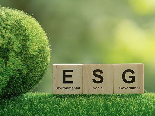 Environmental, Social und Governance Goals