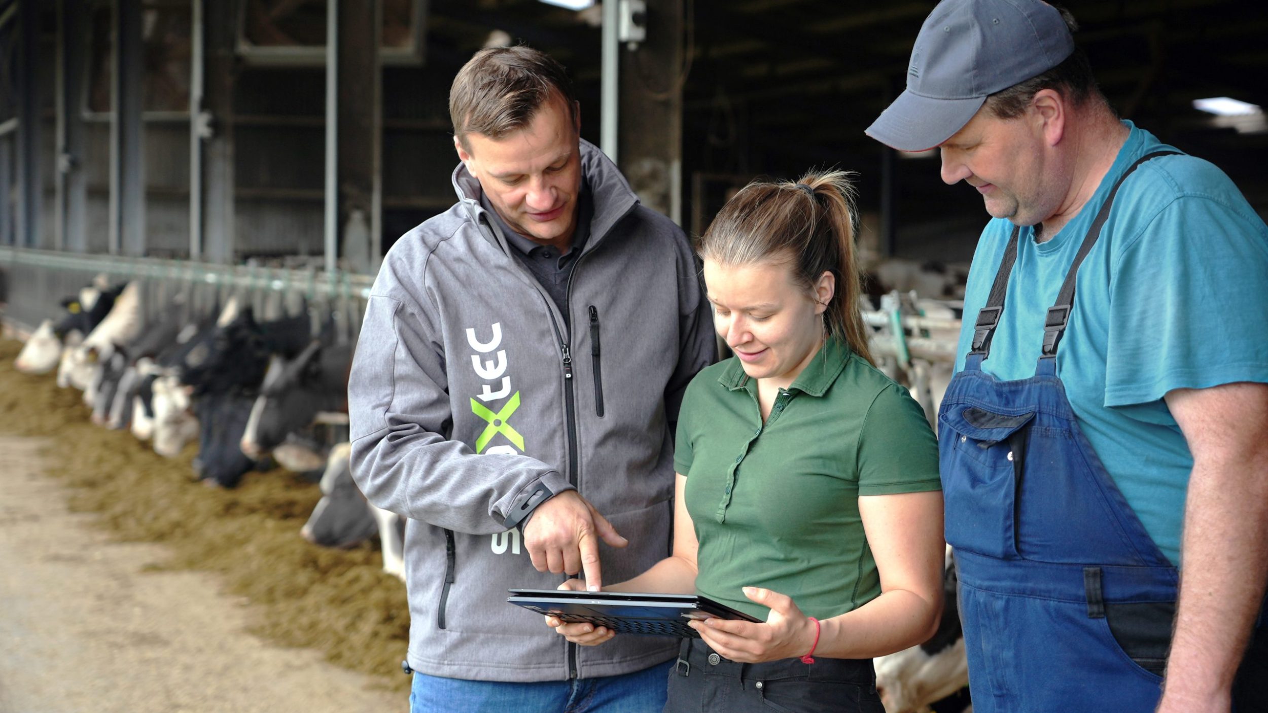 smaXtec employees and customers look at a tablet in the barn