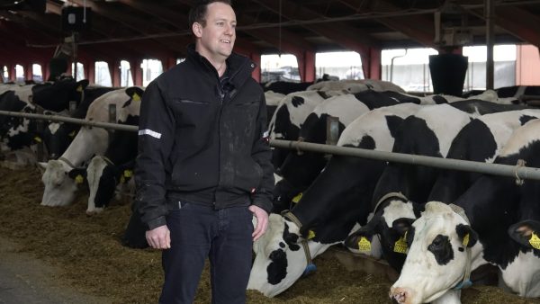 smaXtec testimonial René Cornelissen in his barn with his Holstein cows