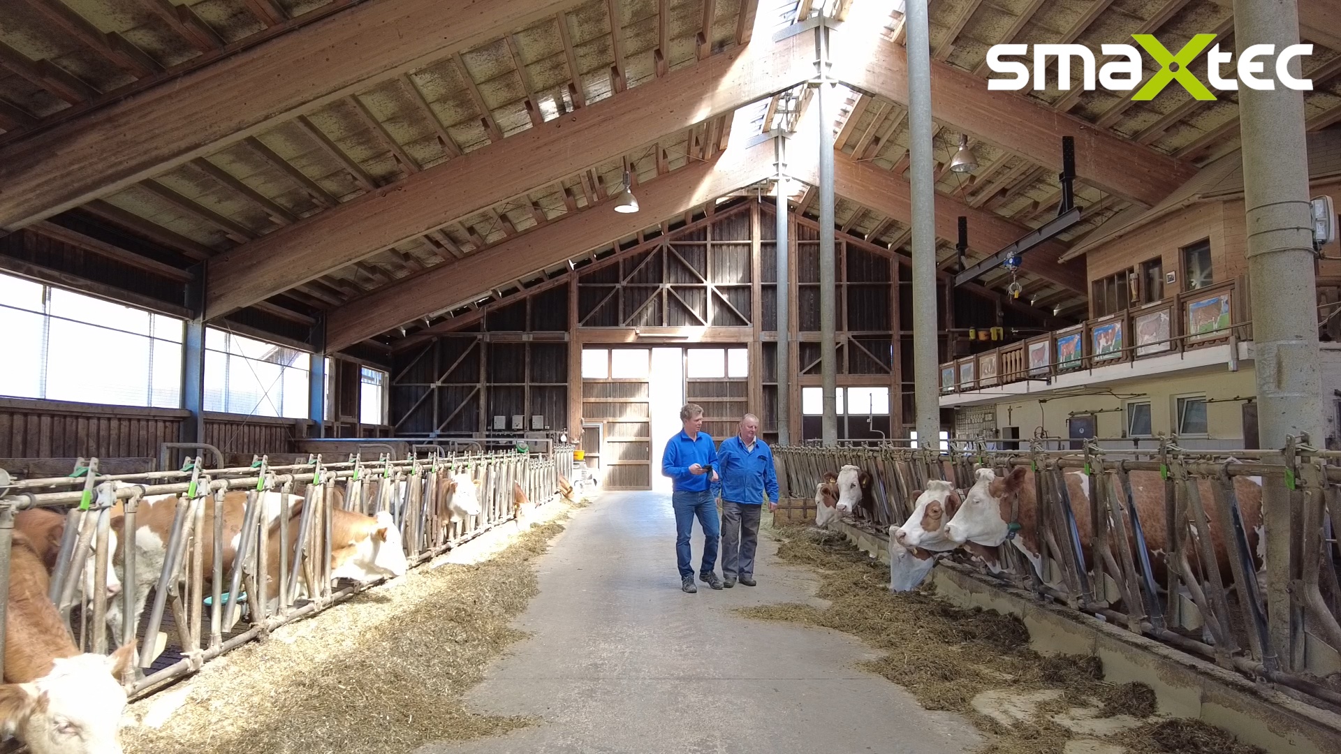 testimonial family Kofler walk through their barn wirh Fleckvieh cows