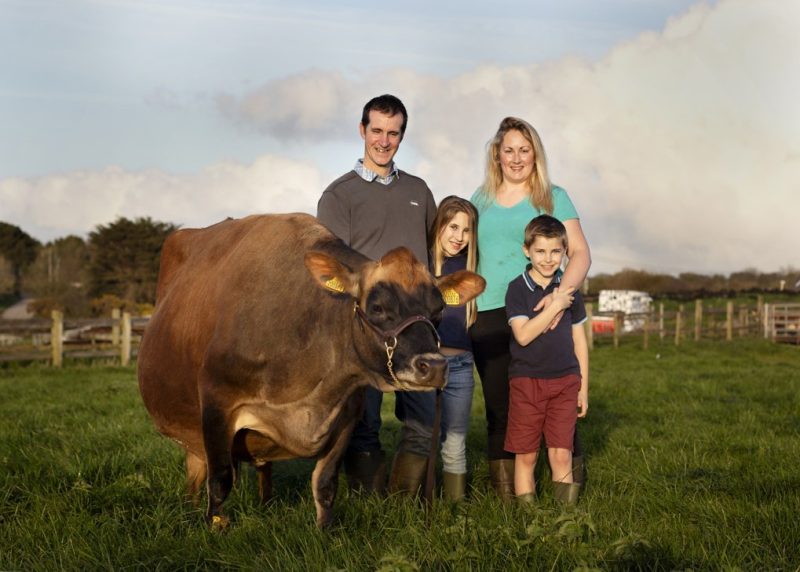 smaXtec testimonial Michael Colwell at Quintrell Farm with his family and a Jersey cow in a pasture