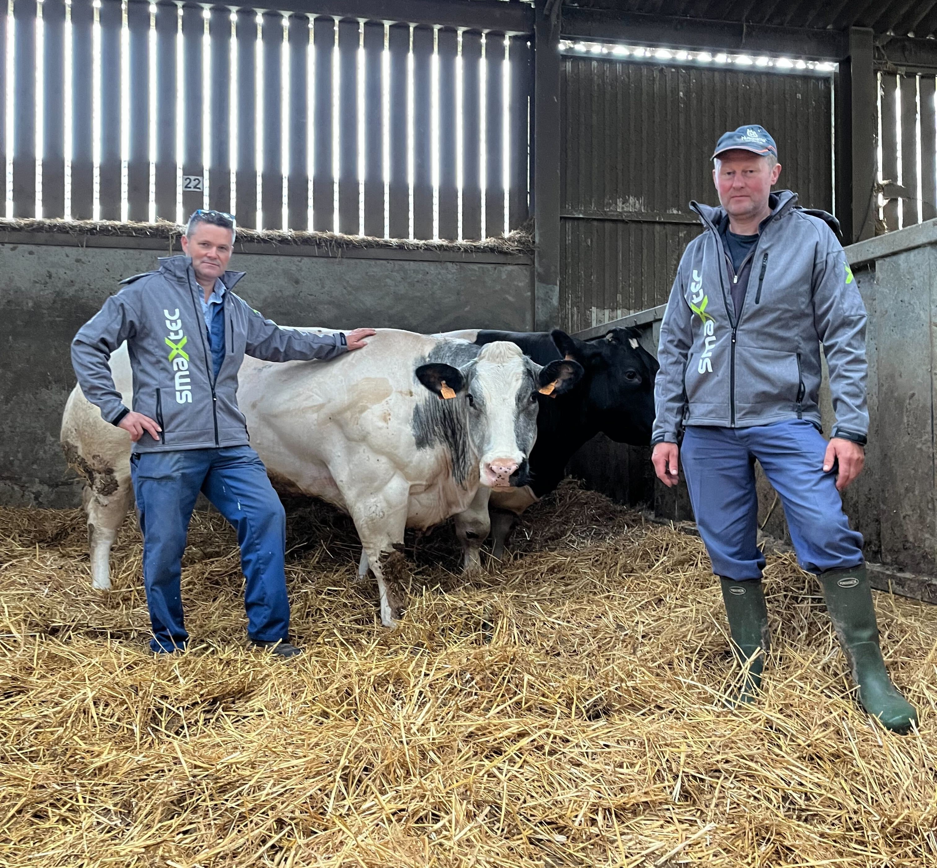 Didier Kersten standing next to a bull