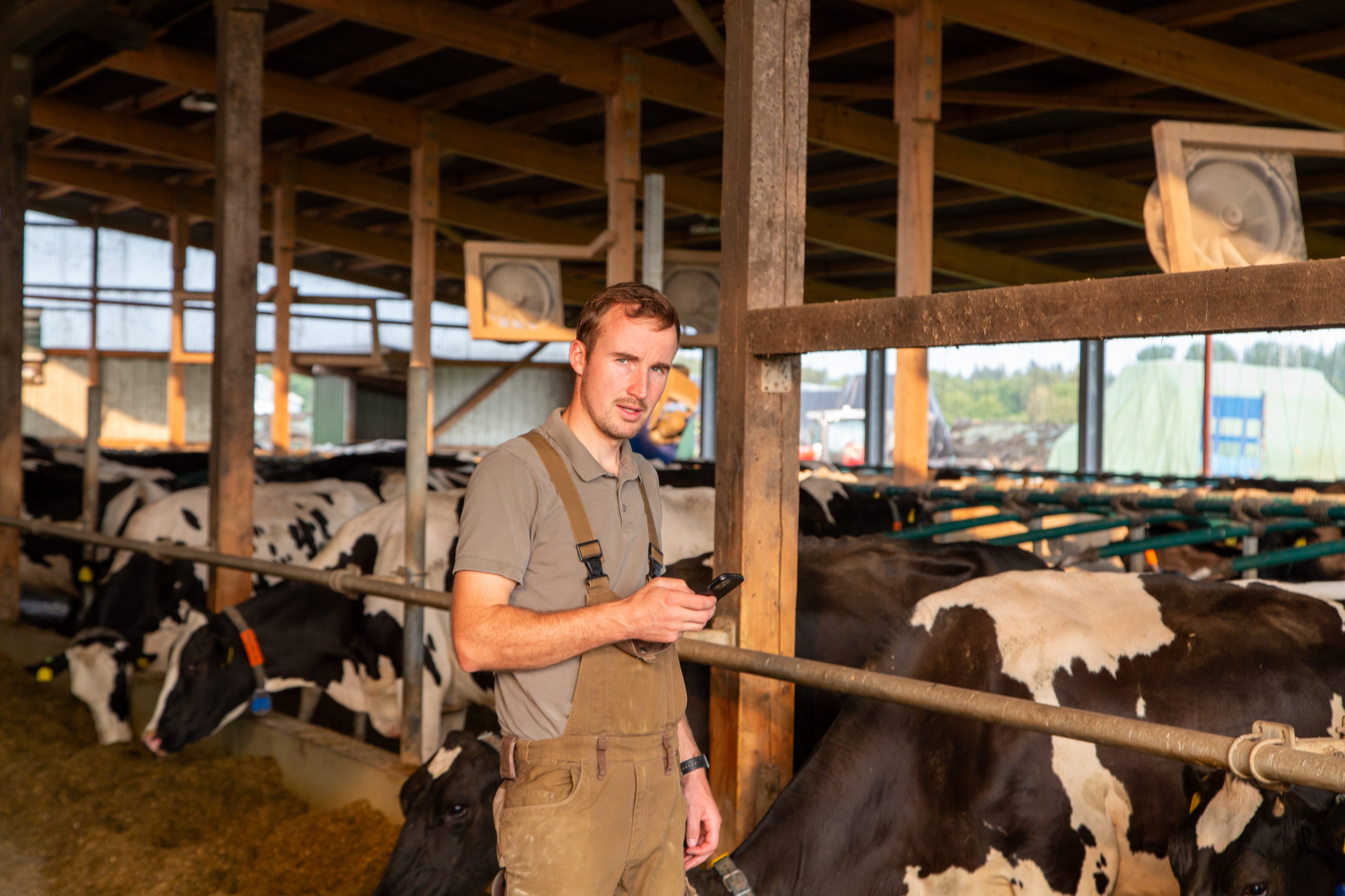 smaXtec testimonial Dennis Haß stands in front of his cows