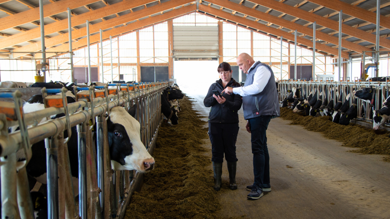 smaXtec consultant with customer looking at the app