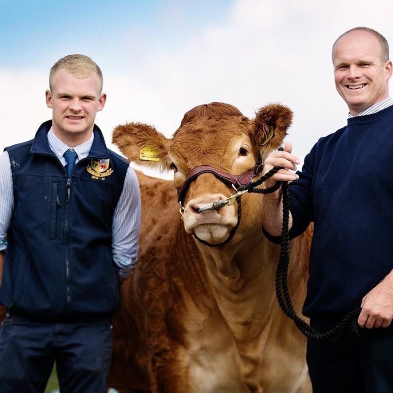 smaXtec customers Thomas Illingworth with one of his cows