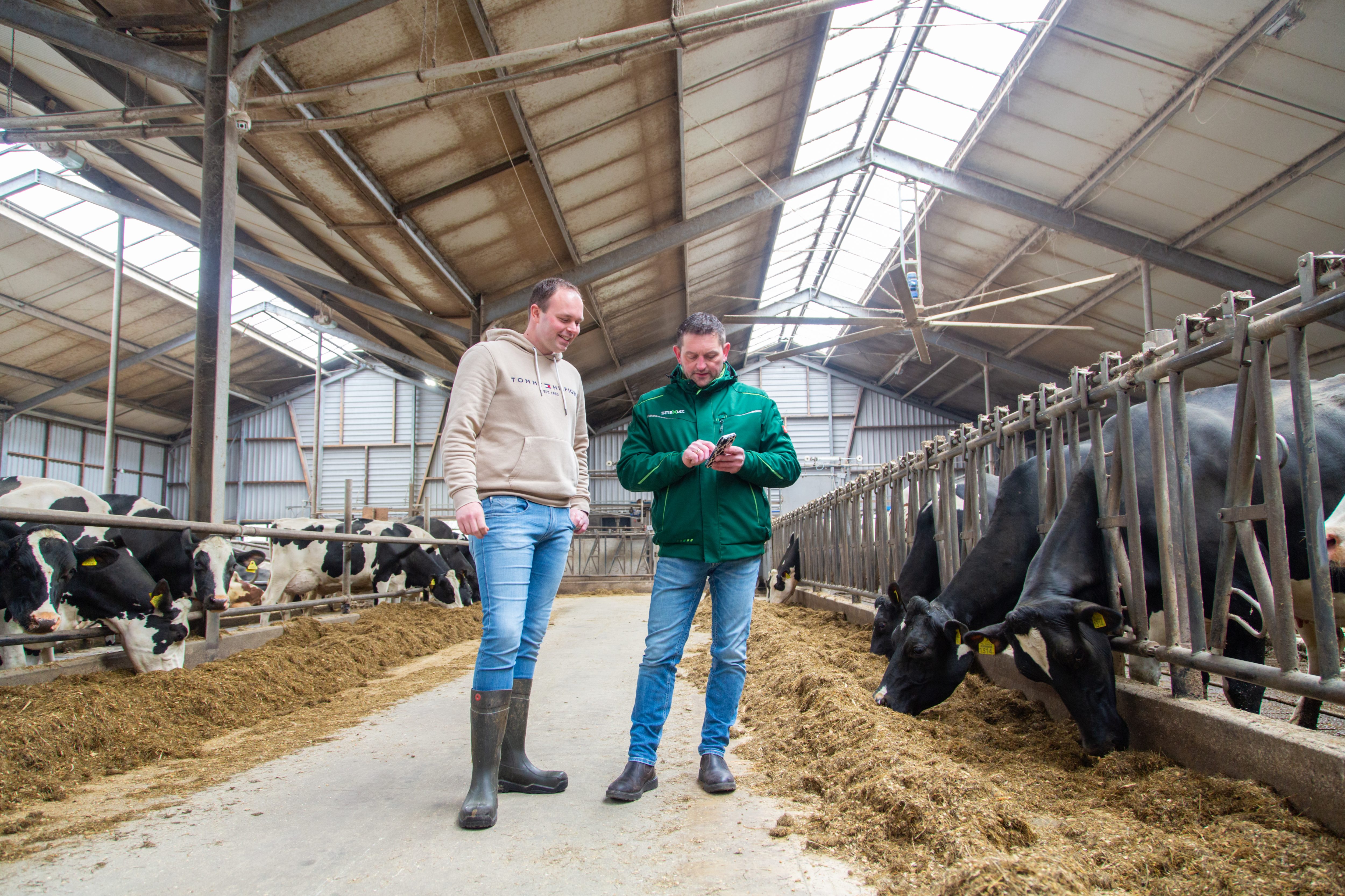 smaXtec employee at smaXtec customer's free stall barn