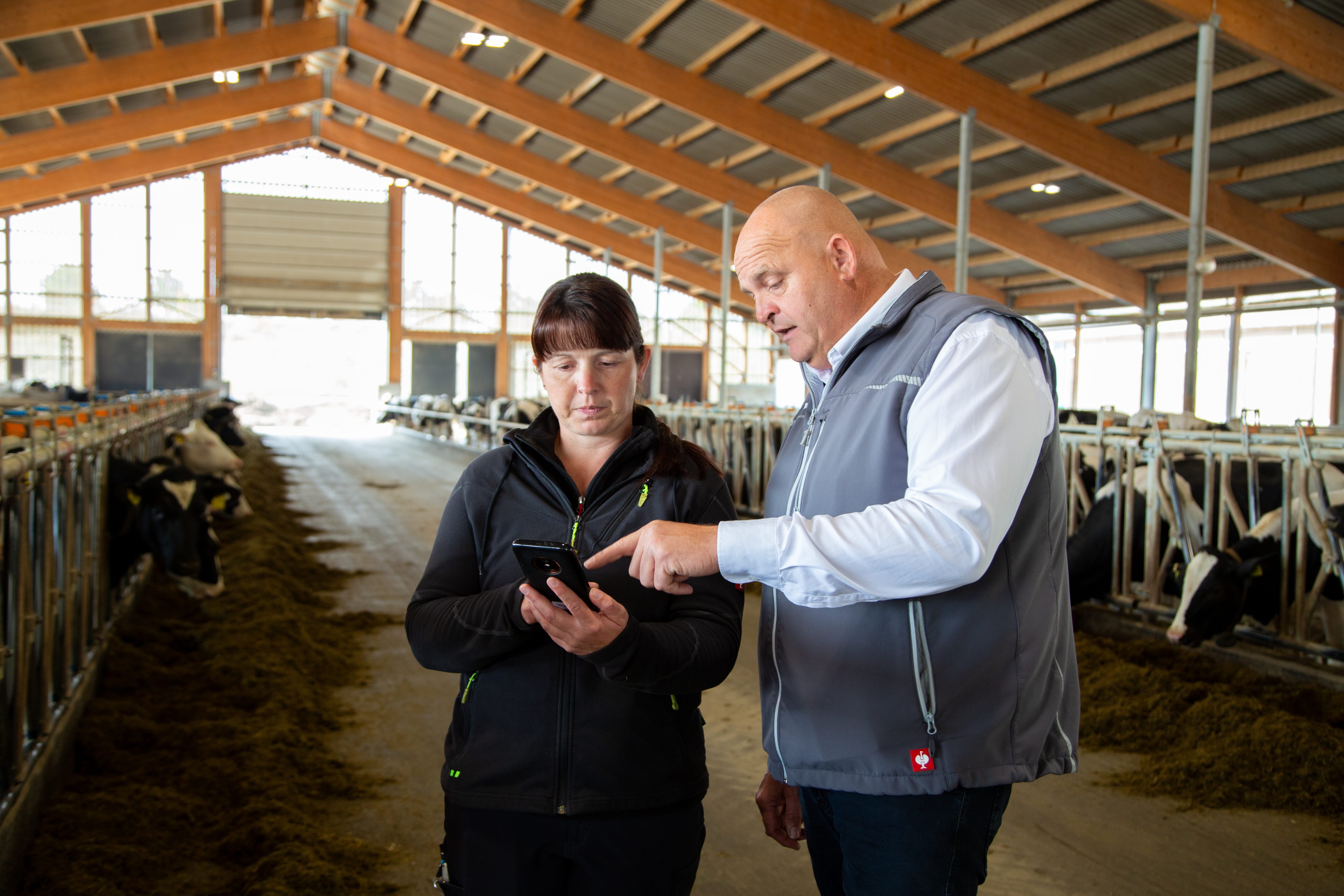 smaXtec consultant with customer looking at the app