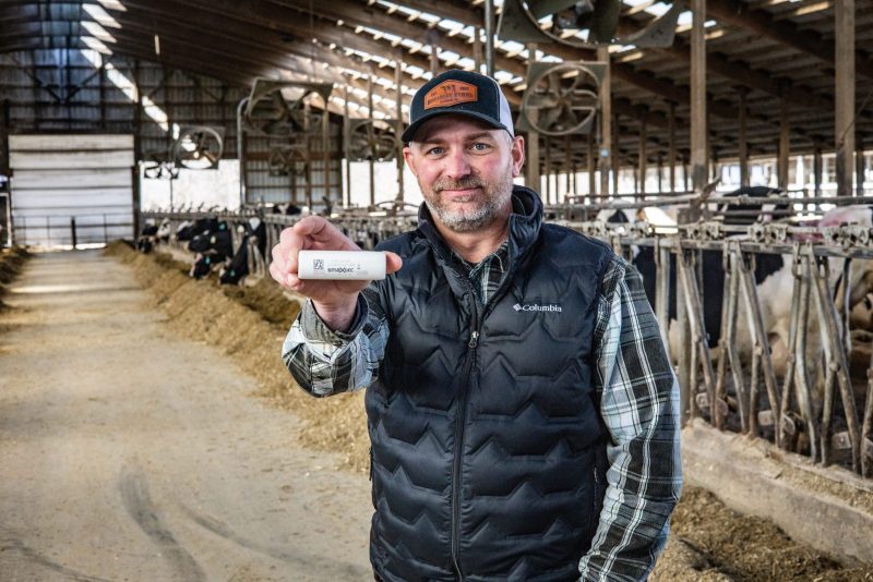 smaXtec customer Nathan Brearley with a bolus