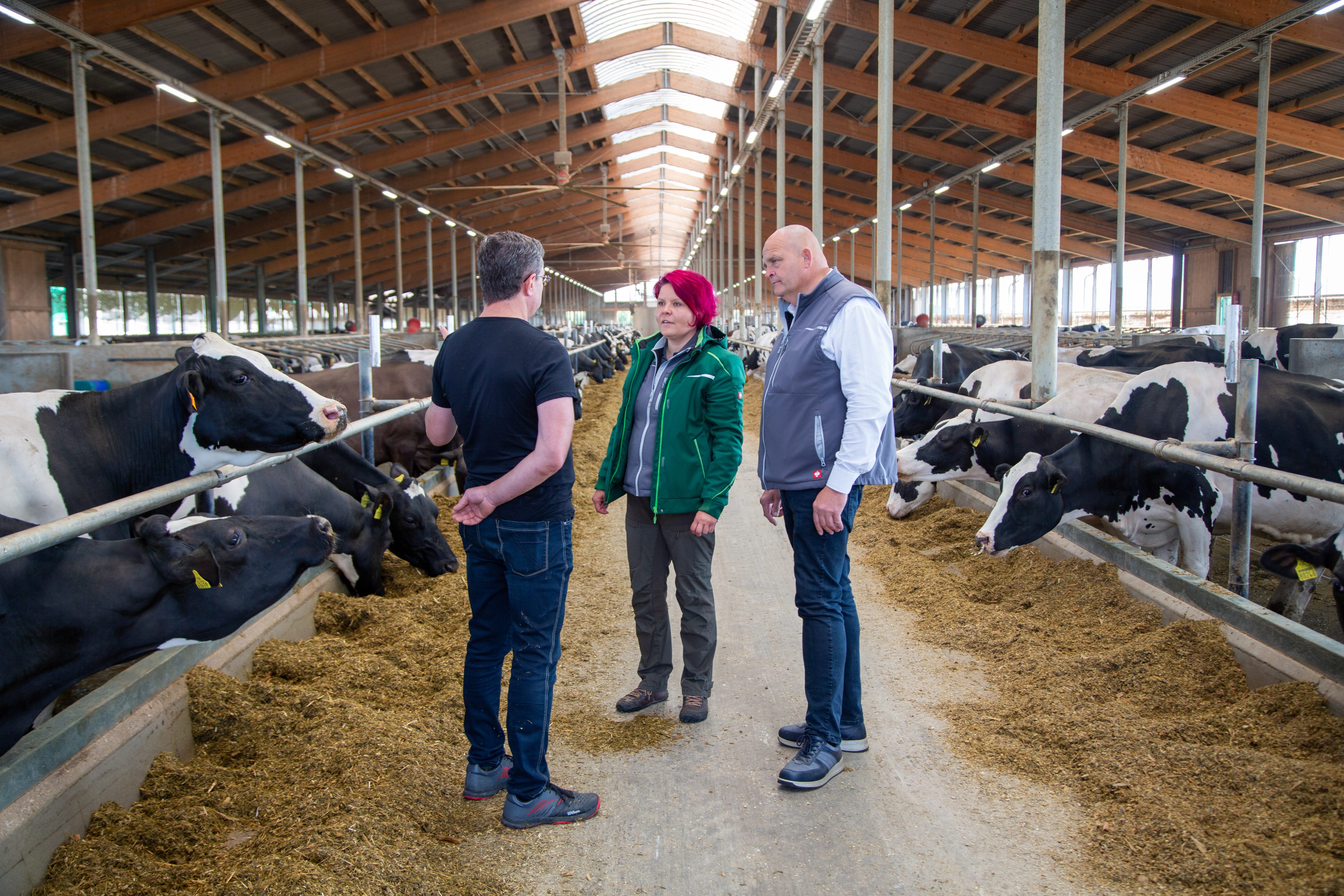 smaXtec employees at smaXtec customer's free stall barn