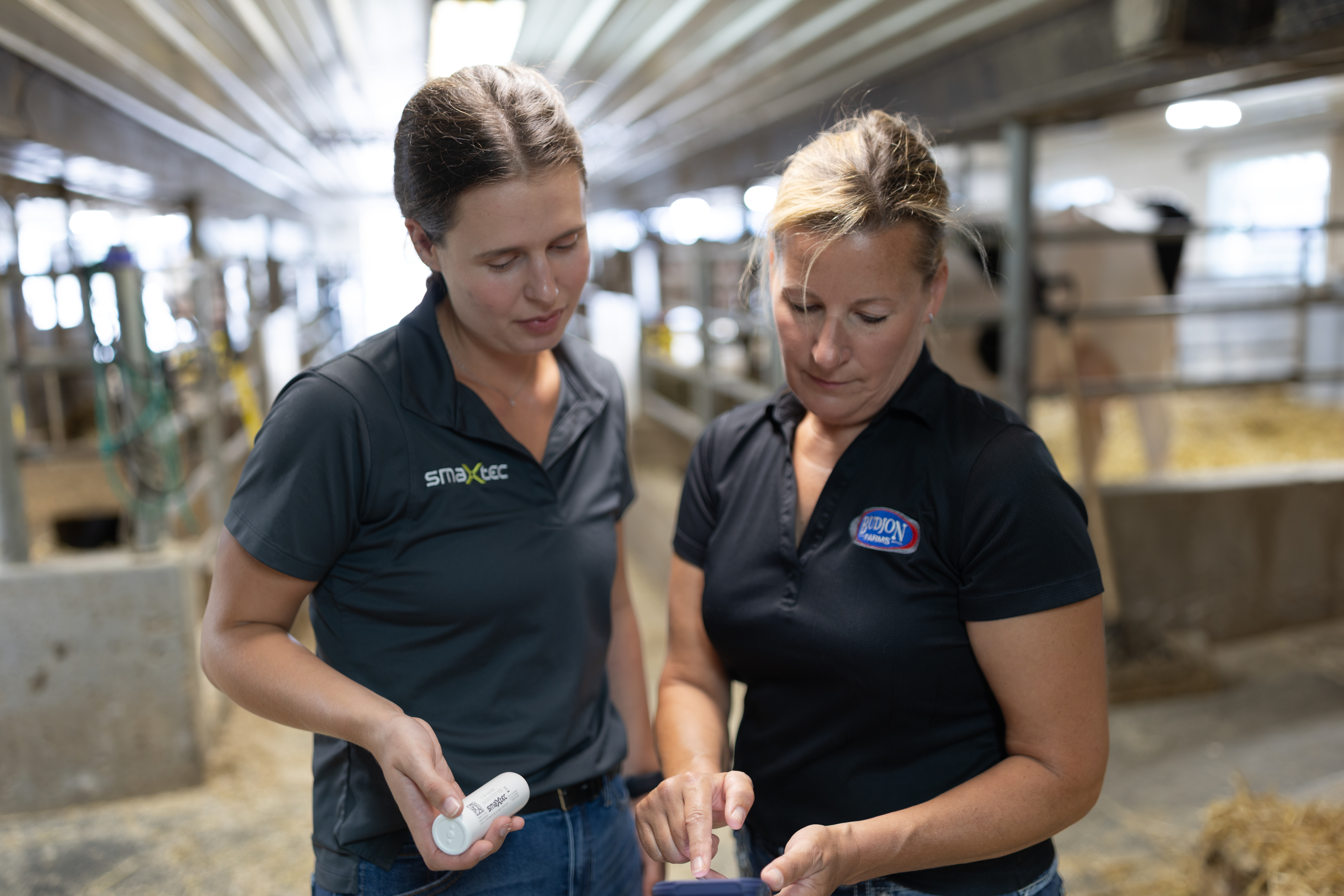 smaXtec customer and consultant looking at the smaXtec App in the barn