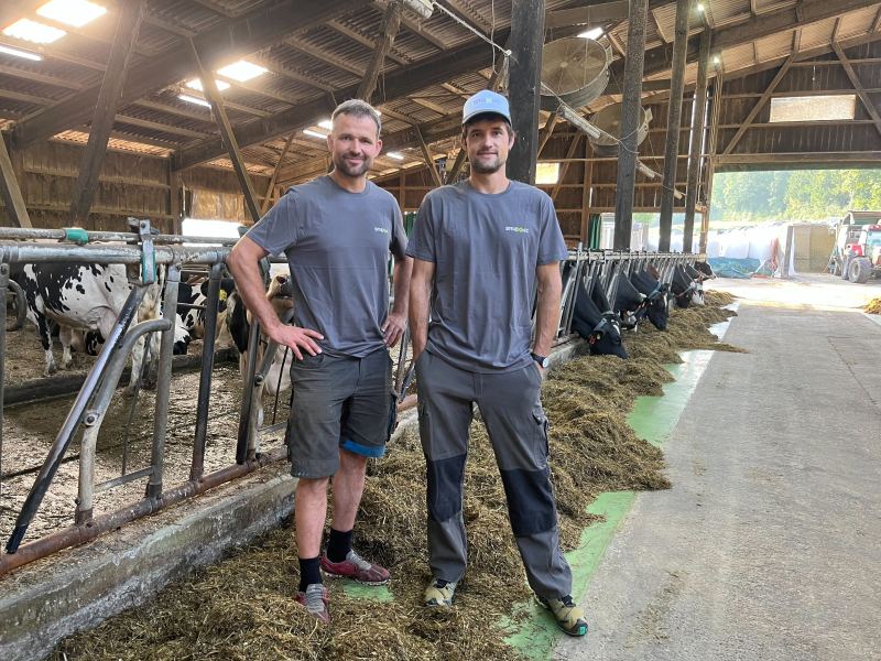 Testimonial Gebrüder Fankhauser im Stall