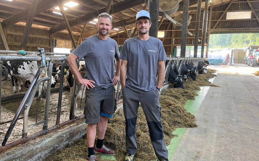 Testimonial Gebrüder Fankhauser im Stall