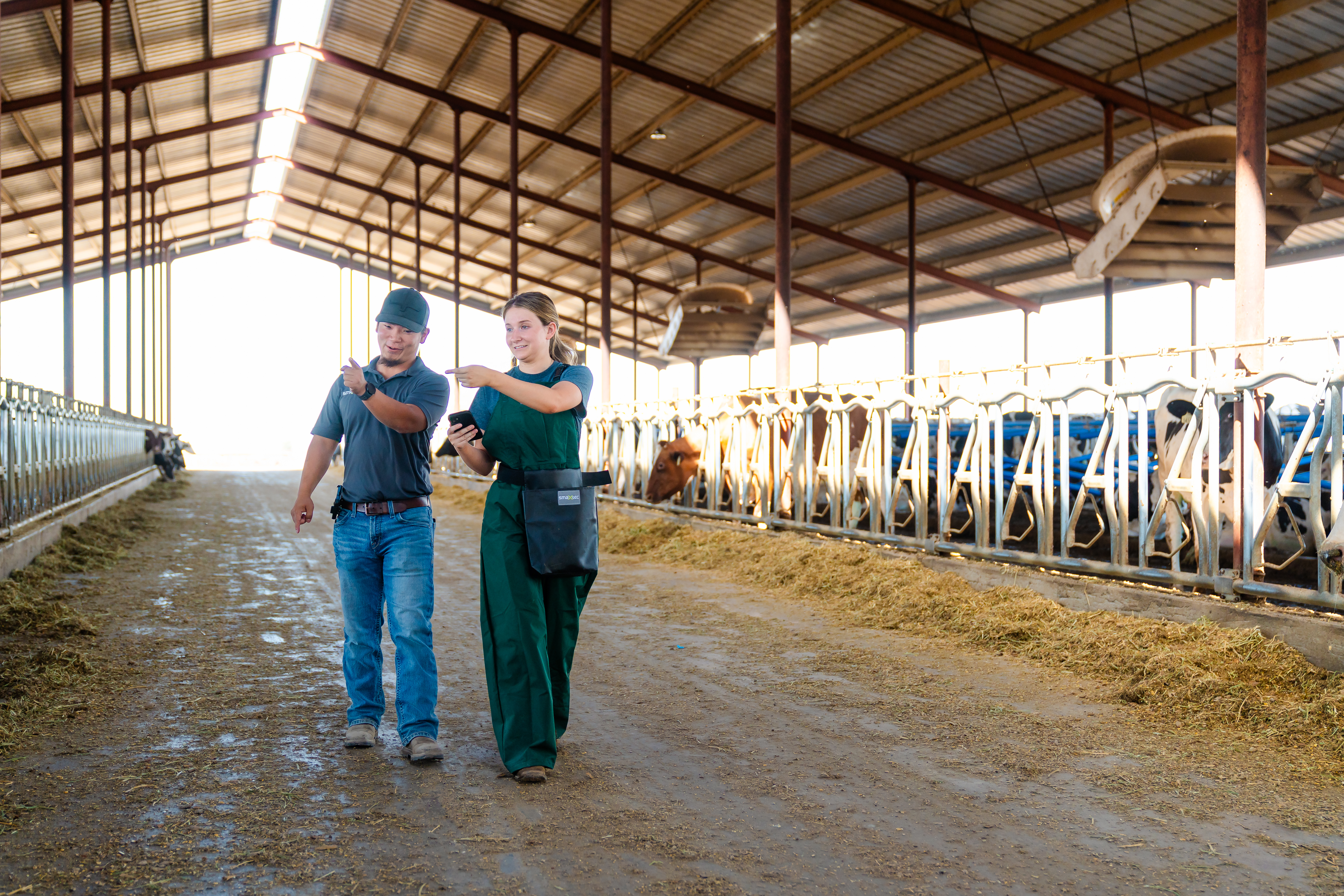 smaXtec consultants looking at the barn
