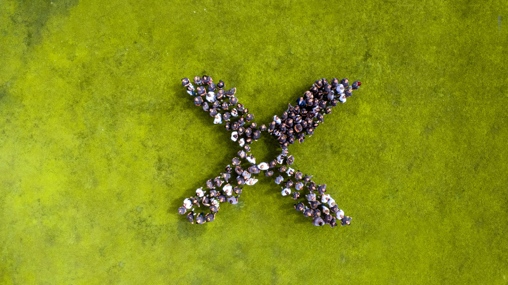 smaXtec team from above in a X-form